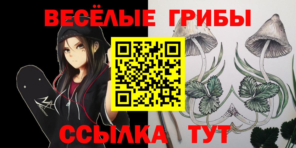 Мирный  Галлюциногенные грибы прущие грибы  даркнет сайт  Вход с VPN 