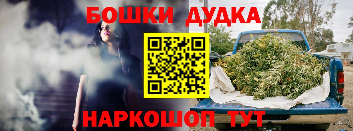 Каннабис OG Kush Мирный